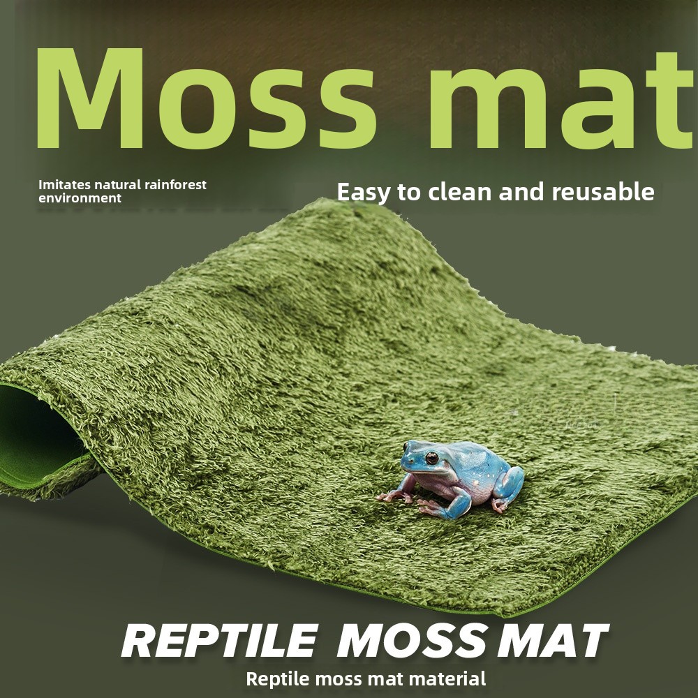 Pet Supplies Pet Shop - Reptile Shop Mos Carpet Frog Pad