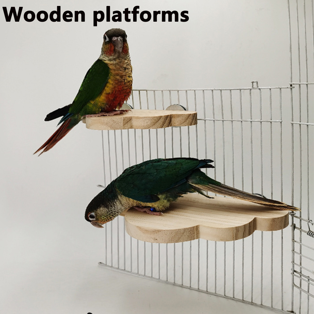 Pet Supplies Login - PARKER Pet Bird Parrot Log Stand