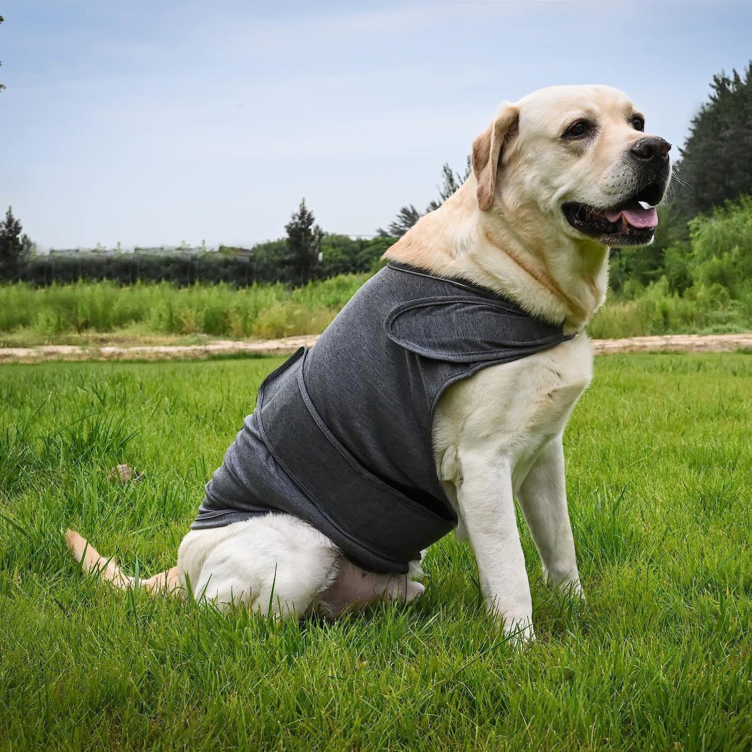Pet Supplies Amazon - Hot Sale Pet Supplies Pet Clothes