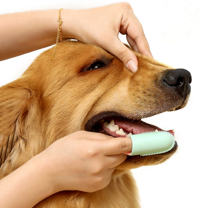 Pet Dog Ultra Soft Finger Toot - Pet Supplies Is Food recensie en prijs