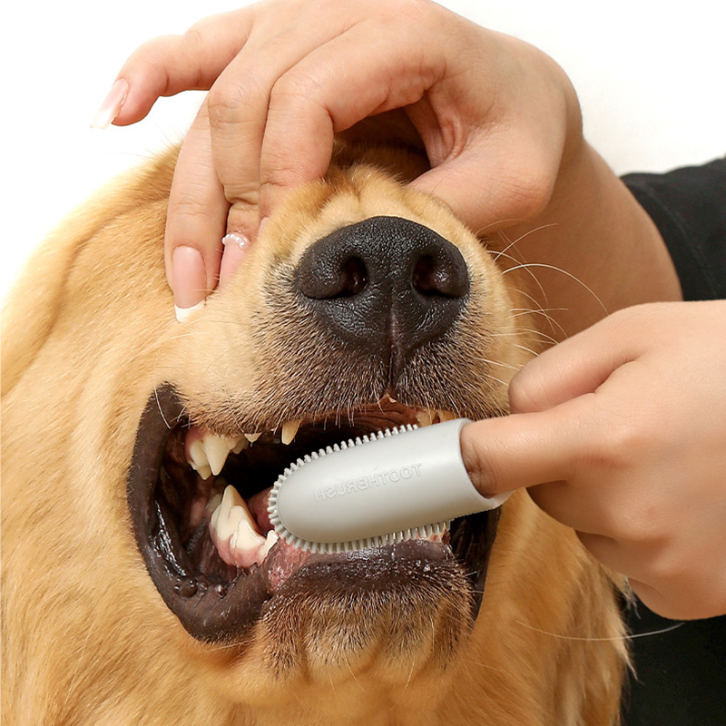 Pet Dog Ultra Soft Finger Toot - Pet Supplies Is Food recensie en prijs