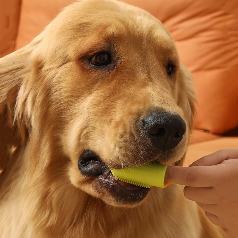 Pet Dog Ultra Soft Finger Toot - Pet Supplies Is Food recensie en prijs