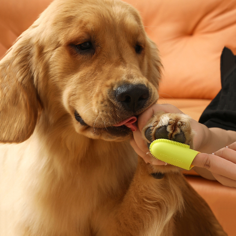 Pet Dog Ultra Soft Finger Toot - Pet Supplies Is Food recensie en prijs