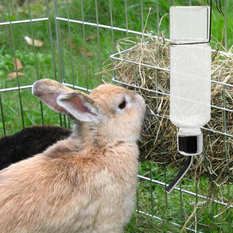 350ML Stainless Steel Hamster  - Pet Supplies Is Food recensie en prijs