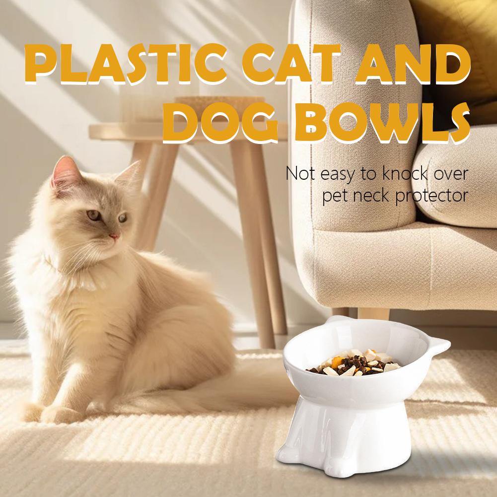 Black Cat Bowl Amazon Plastic  - Pet Supplies Amazon recensie en prijs
