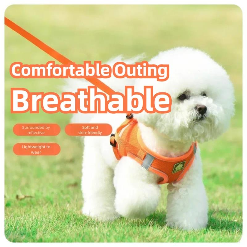 Pet Harness Reflective Ventila - Pet Supplies Amazon recensie en prijs