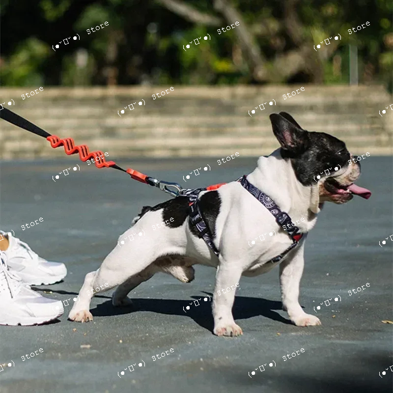 explosion-proof medium and lar - Pet Supplies Usa recensie en prijs