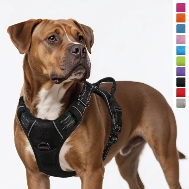 Dog Leash Pet Harness Nylon Do - Pet Supplies Amazon recensie en prijs