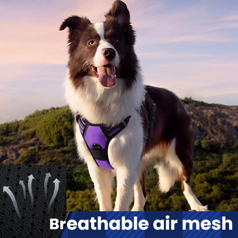 Dog Leash Pet Harness Nylon Do - Pet Supplies Amazon recensie en prijs