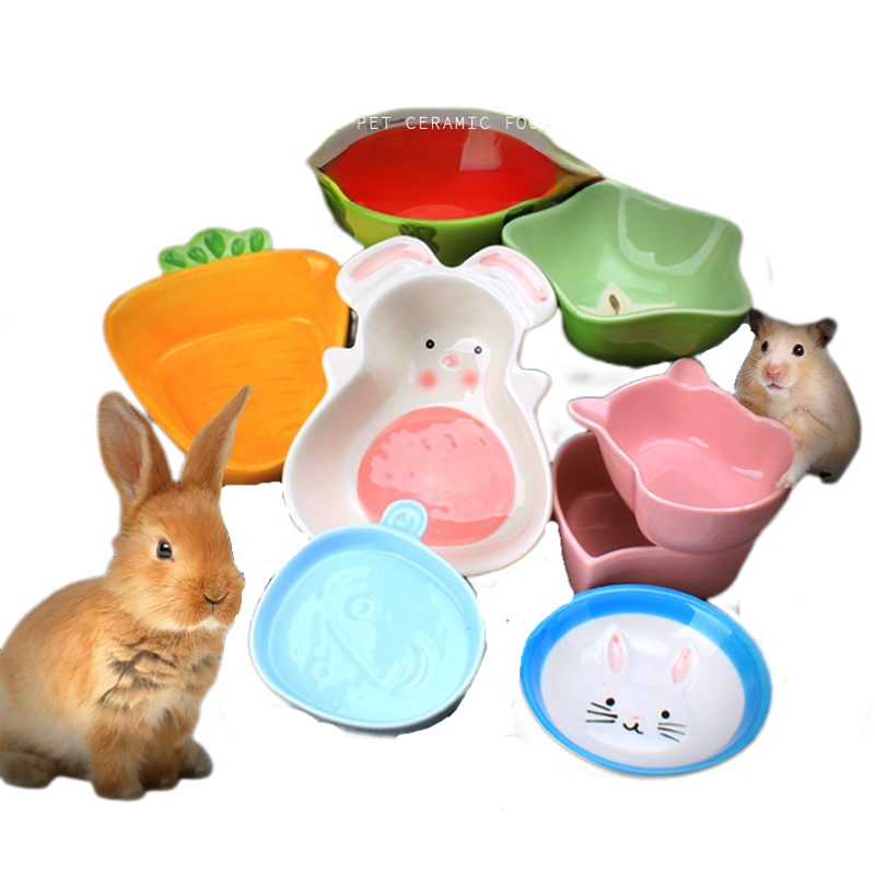 1PC Hamster Feeding Bowl Color - Pet Supplies Is Food recensie en prijs