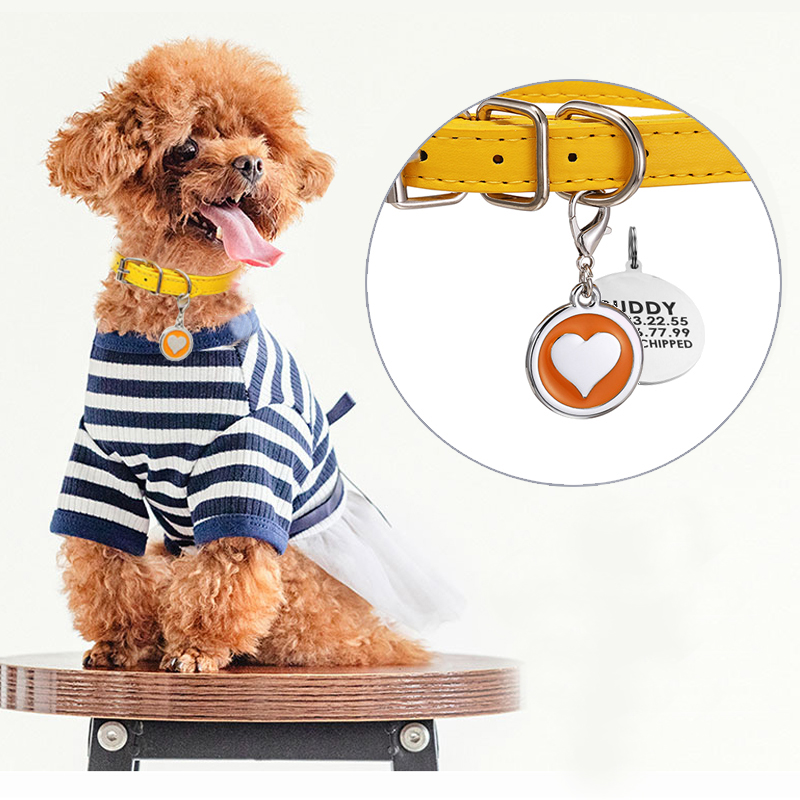 Pet Cat Dog Leather Collar Sta - Pet Supplies Login recensie en prijs