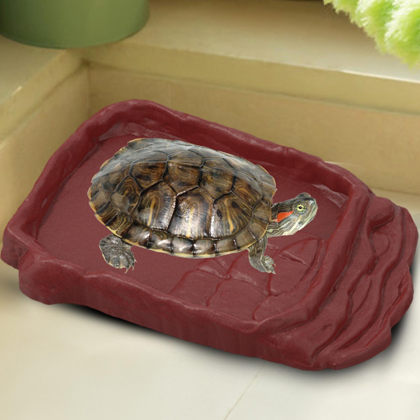 Turtle Water Dish With Anti-Sl - Pet Supplies Is Food recensie en prijs