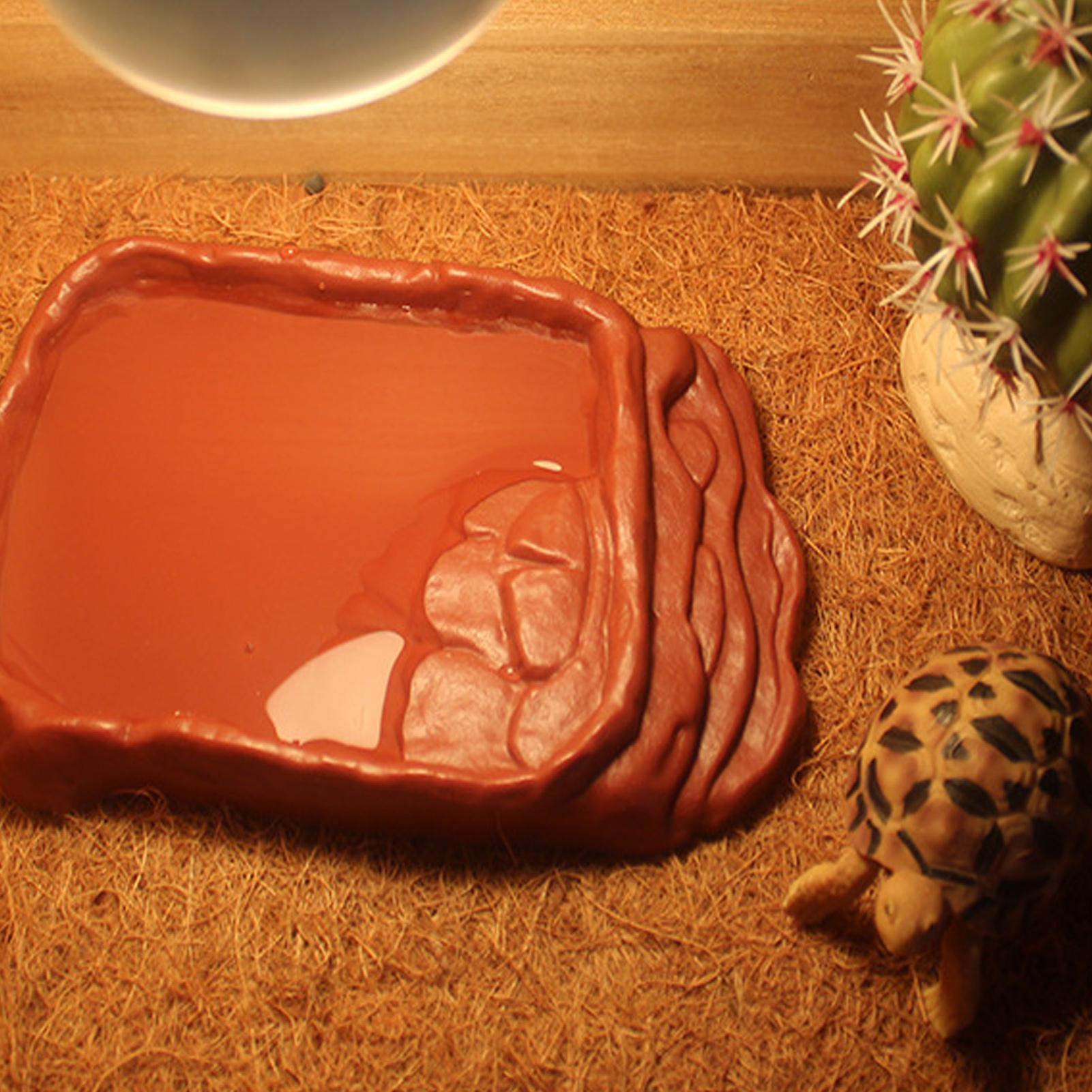 Turtle Water Dish With Anti-Sl - Pet Supplies Is Food recensie en prijs