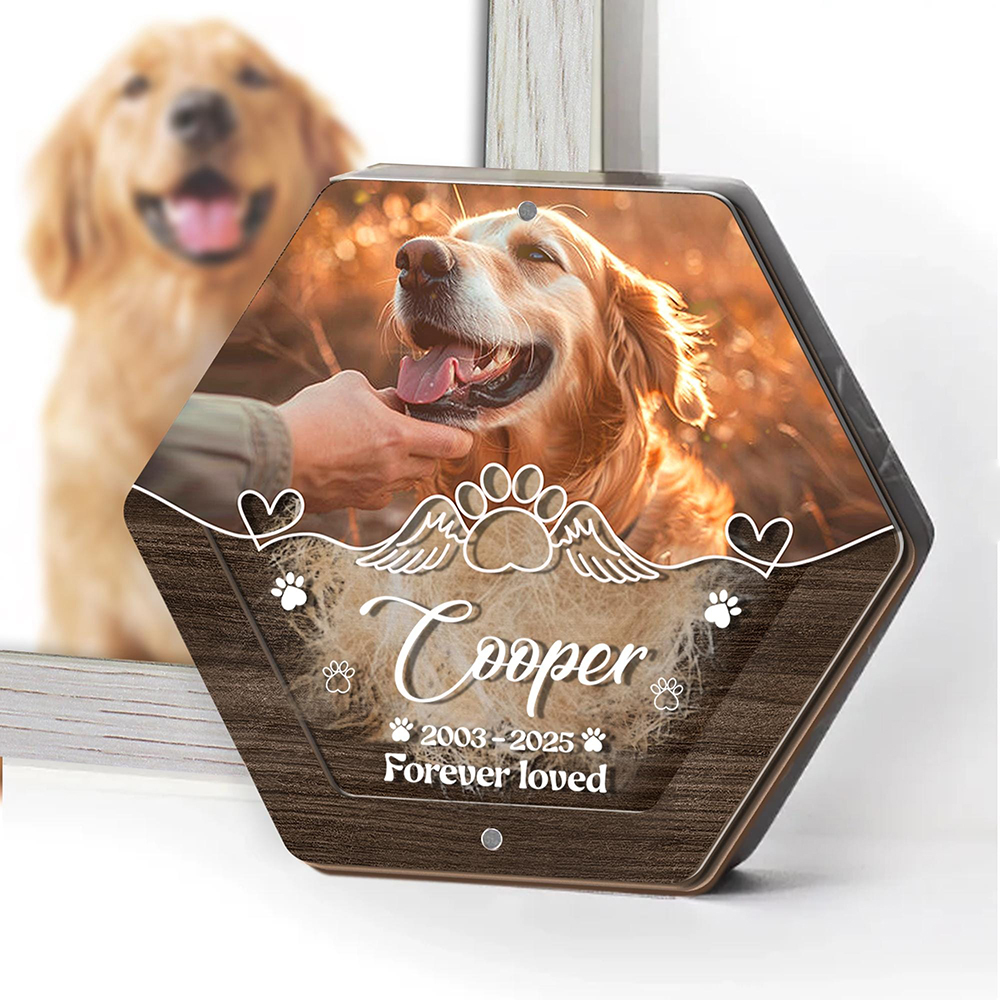Personalized Name Wooden Carvi - Pet Supplies Store recensie en prijs