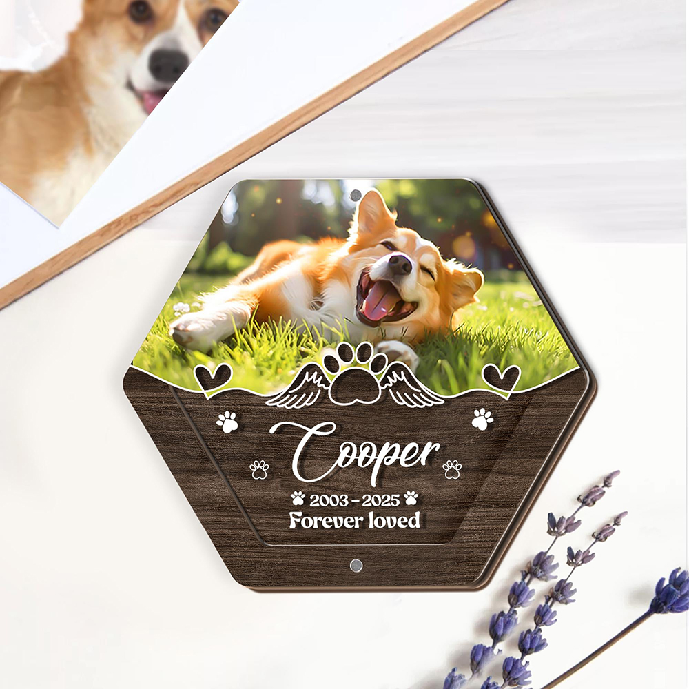 Personalized Name Wooden Carvi - Pet Supplies Store recensie en prijs