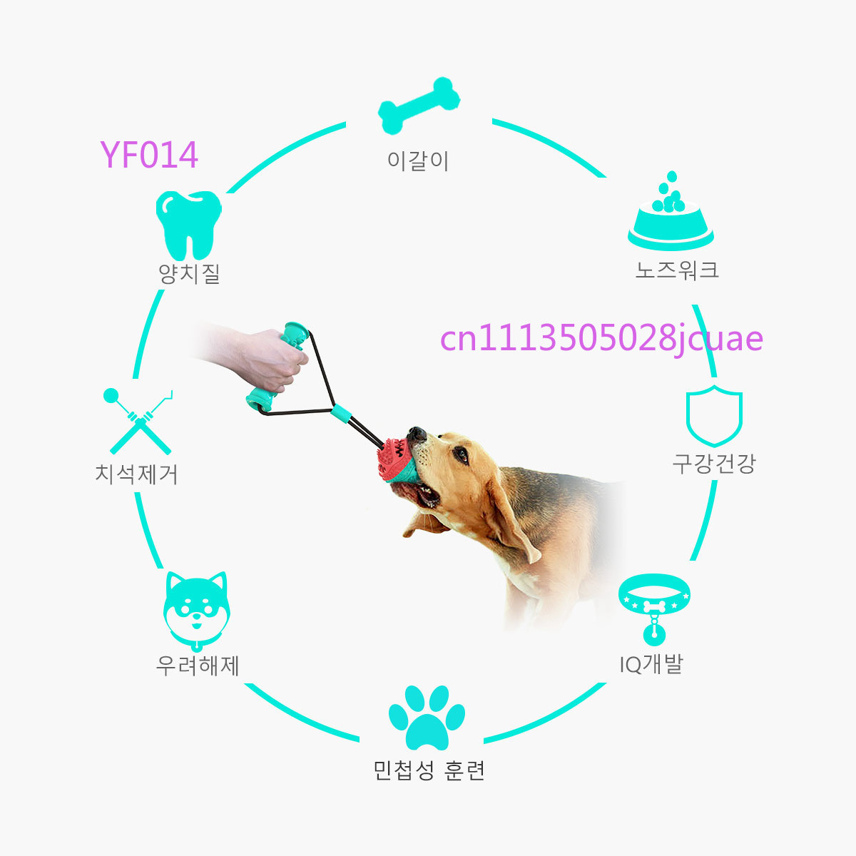 Multi-functional Dog Toy Set,  - Pet Supplies Is Food recensie en prijs