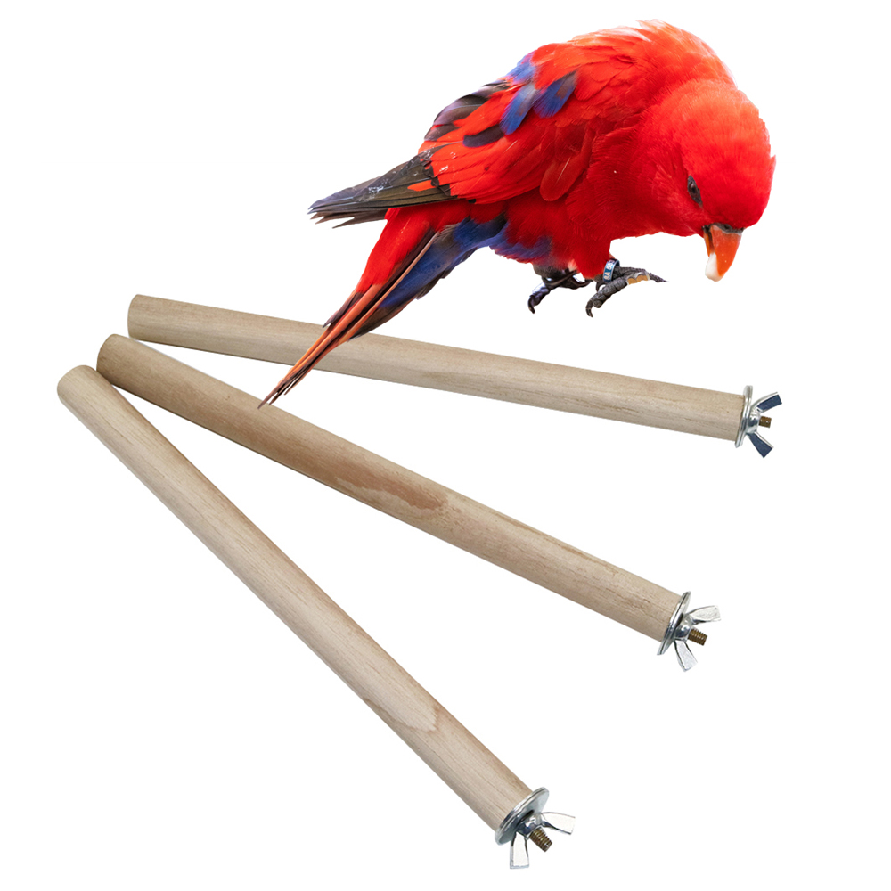 1 Pc Parrot Pigeon Pet Bird Lo - Pet Supplies Login recensie en prijs