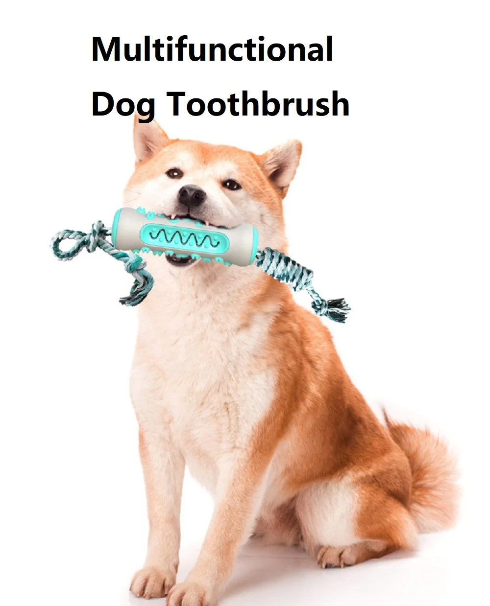 Pet Supplies Amazon Pop Dog To - Pet Supplies Amazon recensie en prijs