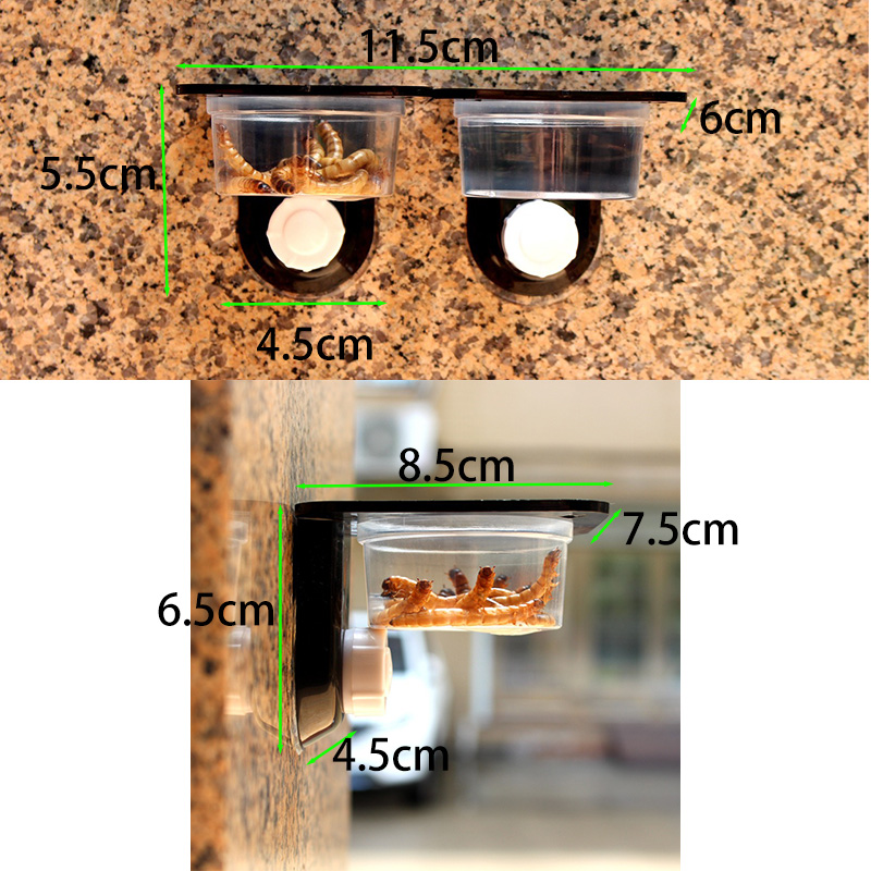 Reptile Tank Accessories Insec - Pet Supplies Is Food recensie en prijs