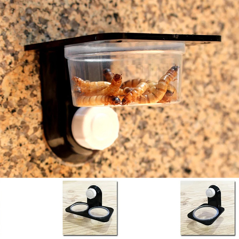 Reptile Tank Accessories Insec - Pet Supplies Is Food recensie en prijs
