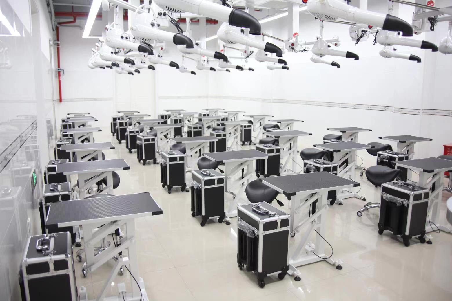 2026 Stainless Steel Cat Dog G - Pet Supplies Usa recensie en prijs