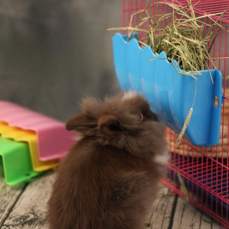 Rabbit Hay Feeder Hanging Guin - Pet Supplies Is Food recensie en prijs