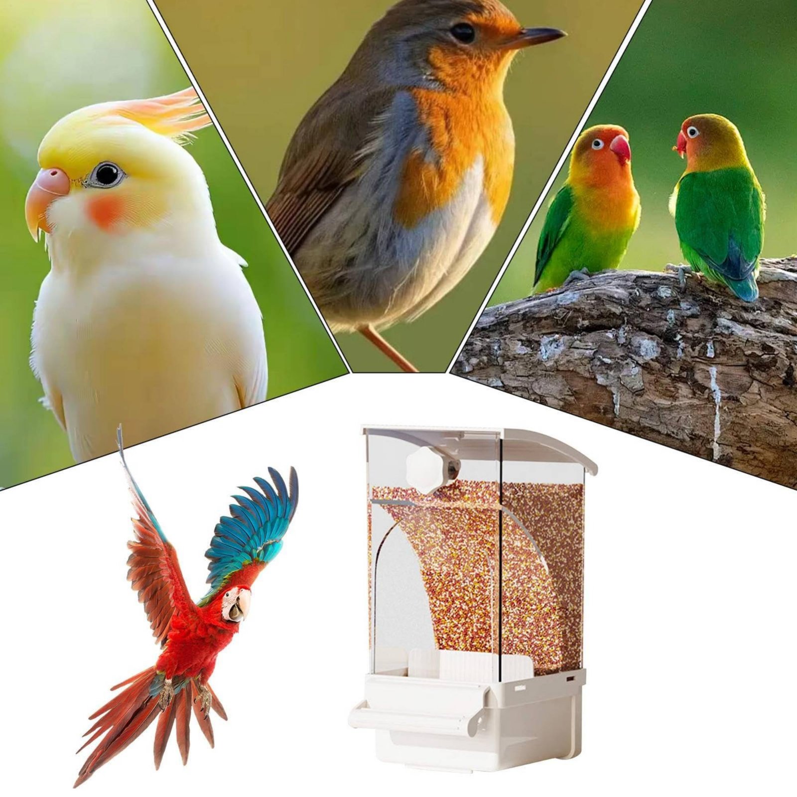 Automatic Avian Feeder Husk Se - Pet Supplies Usa recensie en prijs