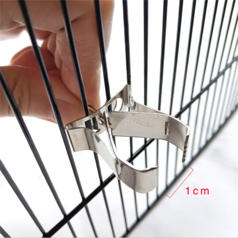 1-10pc Birds Parrots Fruit For - Pet Supplies Is Food recensie en prijs