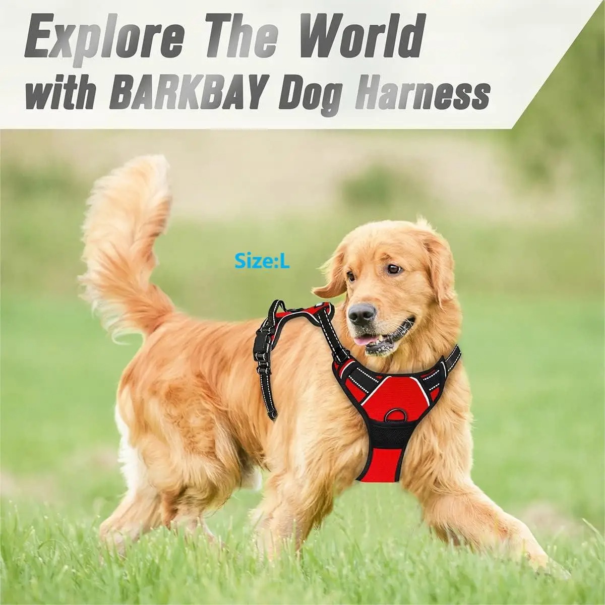 Dog Collar, Harness, Large Ves - Pet Supplies Pet Shop recensie en prijs