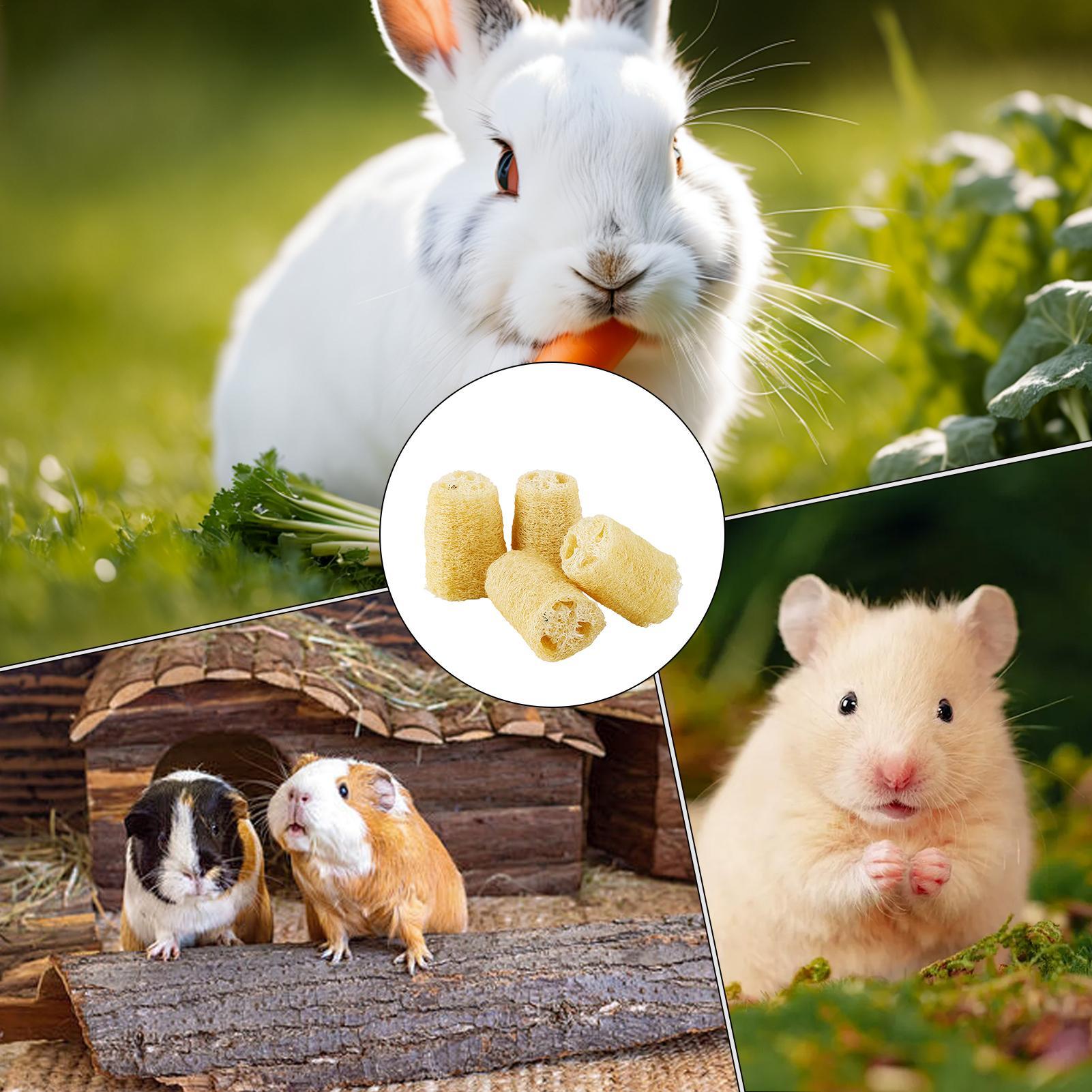Chew Toys For Bunnies 4 Pieces - Pet Supplies Pet Shop recensie en prijs