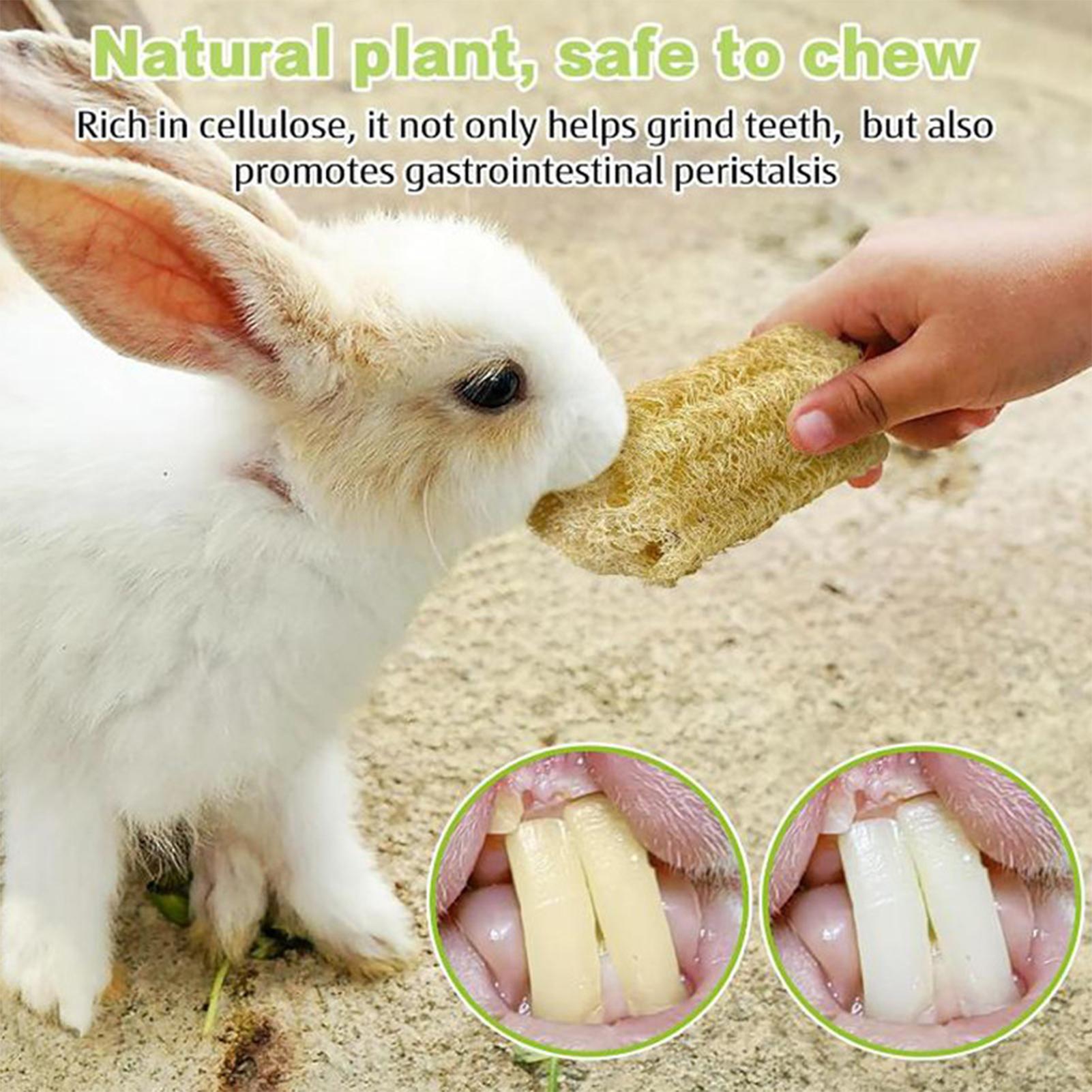 Chew Toys For Bunnies 4 Pieces - Pet Supplies Pet Shop recensie en prijs