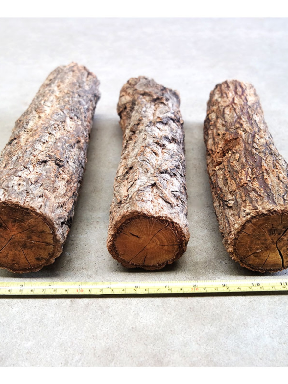 Natural Wooden Log Aquarium De - Pet Supplies Login recensie en prijs