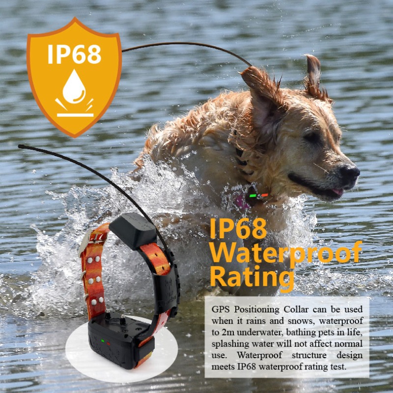 Enterprise Dog GPS Fence Manag - Pet Supplies Login recensie en prijs