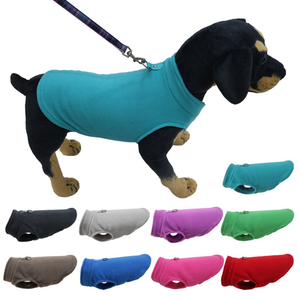 Europe, America, Amazon pet cl - Pet Supplies Amazon recensie en prijs