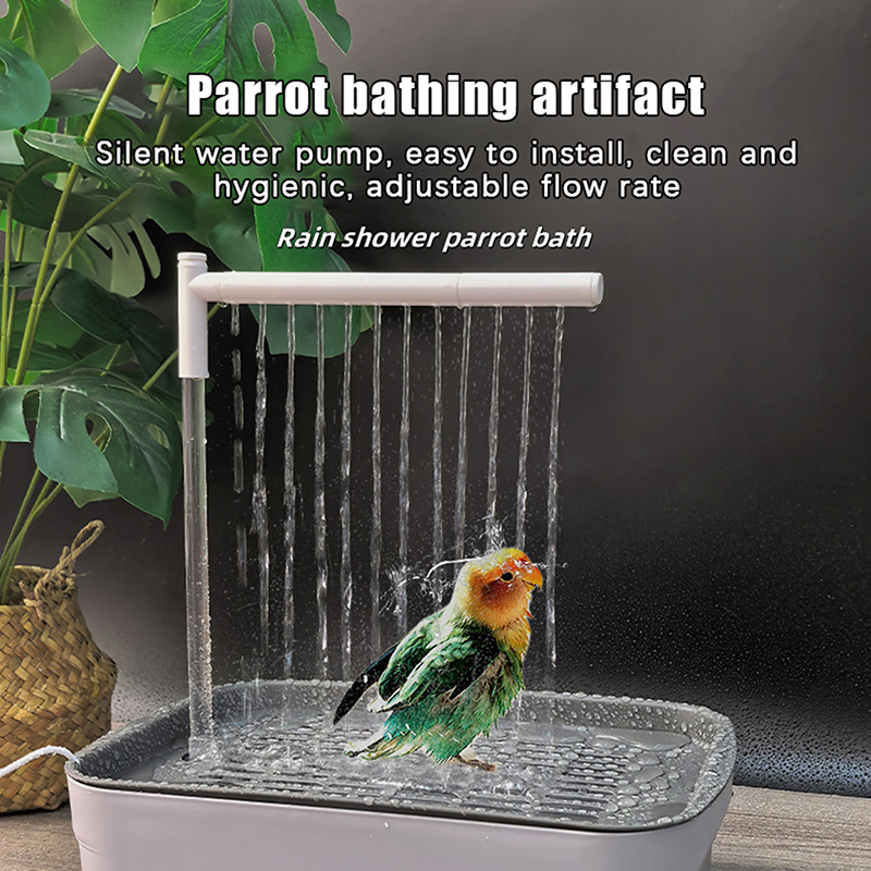 New Sale 2026 Automatic Parrot - Pet Supplies Usa recensie en prijs