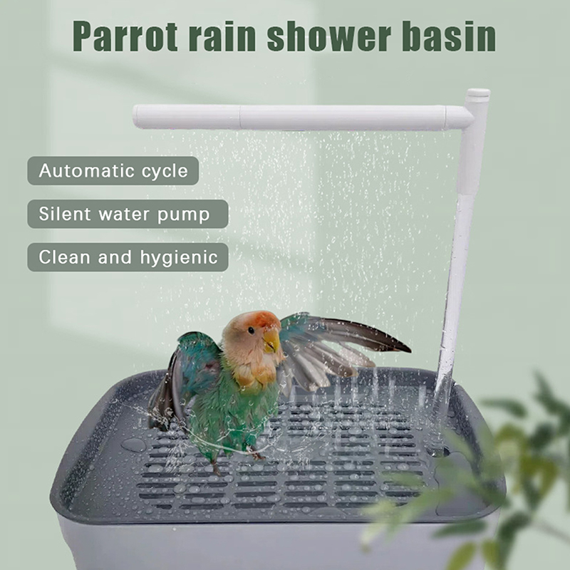 New Sale 2026 Automatic Parrot - Pet Supplies Usa recensie en prijs