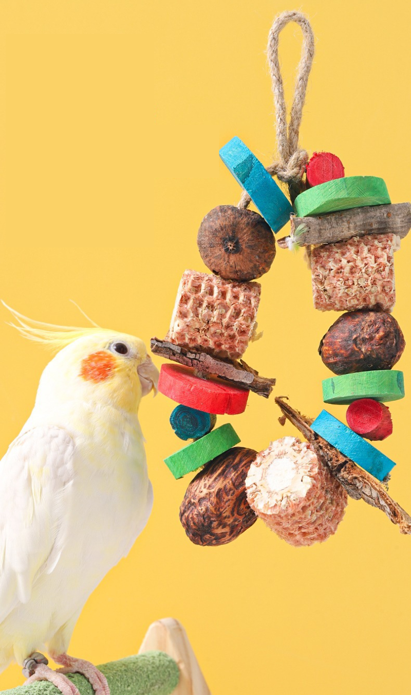 Bird Parrot Chewing Toy Natura - Pet Supplies Login recensie en prijs